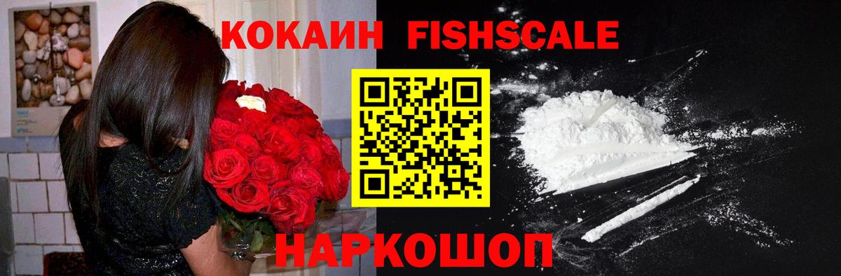 Cocaine FishScale  Вход с VPN  Кокаин  Фролово 