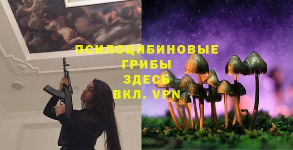 спиды Долгопрудный