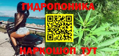 PSILOCYBIN Дубна