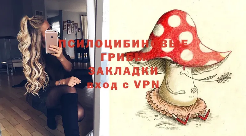 Псилоцибиновые грибы Magic Shrooms  купить наркотики сайты  Фролово 